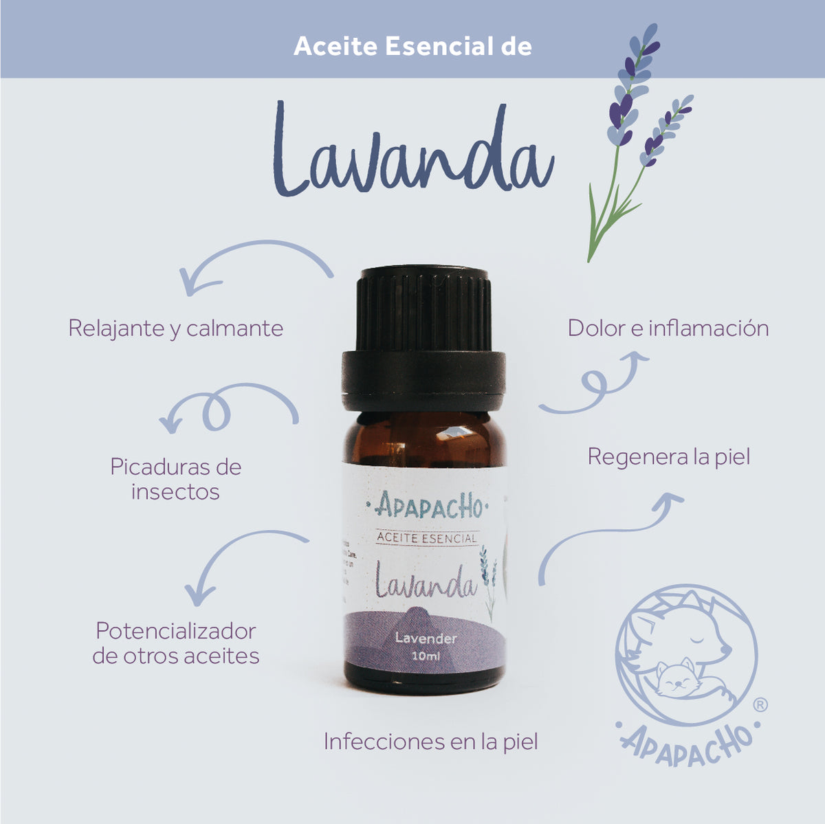 Aceite esencial de Lavanda – Apapacho Balsamos