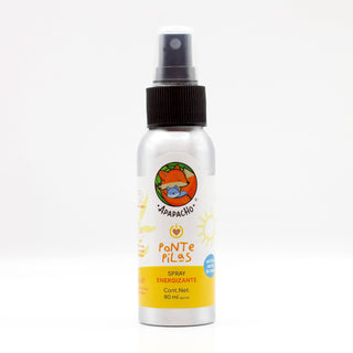 Spray Ponte Pilas