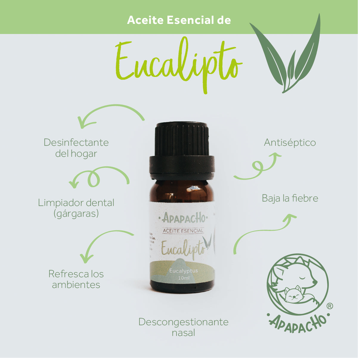 Aceite esencial de Eucalipto – Apapacho Balsamos